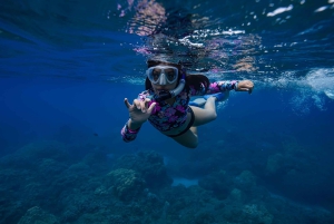 Offroad-kusttur 4x4-fordon med snorkel Foto + video