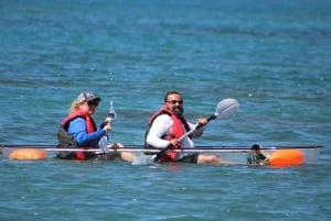 Olowalu: Guided Clear Kayak Tour - Unlimited