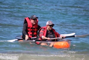 Olowalu: Guided Clear Kayak Tour - Unlimited