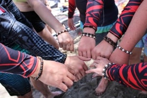 Olowalu: Guided Clear Kayak Tour - Unlimited