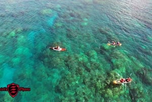 Olowalu: Guided Clear Kayak Tour - Unlimited