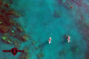Olowalu: Guided Clear Kayak Tour - Unlimited