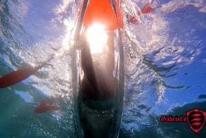 Olowalu: Guided Clear Kayak Tour - Unlimited