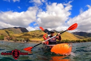 Olowalu: Guided Clear Kayak Tour - Unlimited
