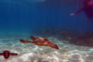 Olowalu: Guided Clear Kayak Tour - Unlimited