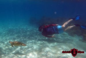 Olowalu: Guided Clear Kayak Tour - Unlimited