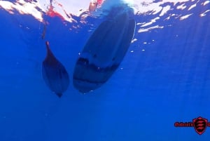 Olowalu: Guided Clear Kayak Tour - Unlimited