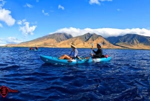 Olowalu: Guided Clear Kayak Tour - Unlimited