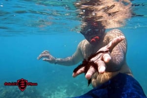 Olowalu: Guided Clear Kayak Tour - Unlimited