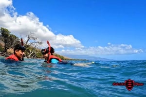 Olowalu: Guided Clear Kayak Tour - Unlimited