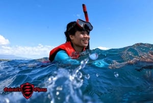 Olowalu: Guided Clear Kayak Tour - Unlimited