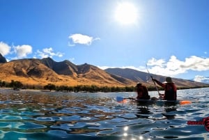 Olowalu: Guided Clear Kayak Tour - Unlimited