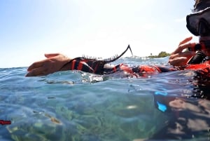 Olowalu: Guided Clear Kayak Tour - Unlimited