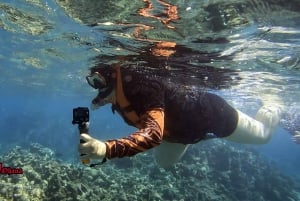 Olowalu: Guided Clear Kayak Tour - Unlimited