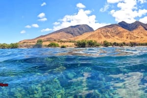 Olowalu: Guided Clear Kayak Tour - Unlimited