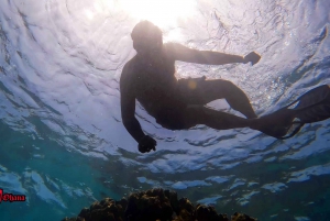 Olowalu: Guided Tour Over Reefs in Transparent Kayak