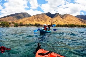 Olowalu: tour guidato sulle scogliere in kayak trasparente