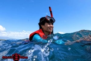 Olowalu: Visita guiada sobre recifes em caiaque transparente