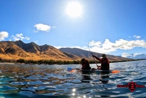 Olowalu : visite guidée sur les récifs en kayak transparent