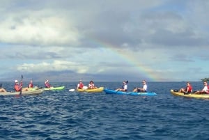 Kajak og snorkling på West Maui ved Olowalu