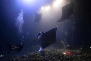 Kailua-Kona: Manta Night Dive & Snorkel Boat Trip & Snacks