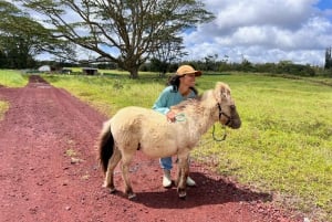 Pahoa: Ranch Tour with Animal Feedings and Interactions