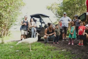 Pahoa: Ranch Tour with Animal Feedings and Interactions