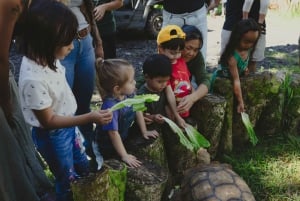 Pahoa: Ranch Tour with Animal Feedings and Interactions