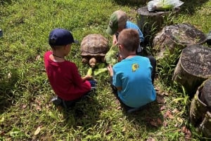 Pahoa: Ranch Tour with Animal Feedings and Interactions