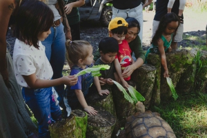 Pahoa: Ranch-tur med dyrefodring og interaktion