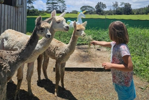 Pahoa: Ranch-tur med dyrefodring og interaktion