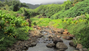 Papahana Kuaola