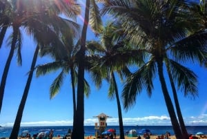 Honolulu: Pearl Harbor and Honolulu City Tour
