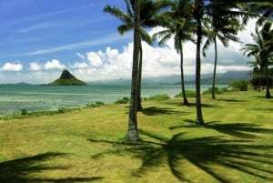 Pearl Harbor og naturskjønne Oahu Private Tour