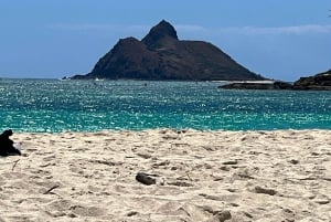 Pearl Harbor og naturskjønne Oahu Private Tour