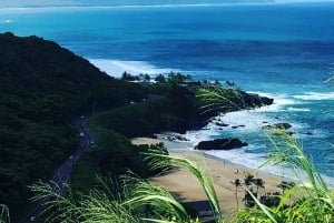 Pearl Harbor og naturskjønne Oahu Private Tour