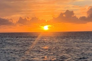 Pearl Harbor og naturskjønne Oahu Private Tour