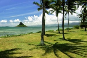 Частный тур 'Перл Харбор и живописные места Оаху