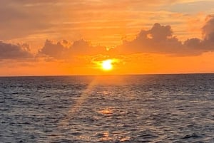 Частный тур 'Перл Харбор и живописные места Оаху