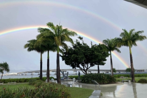 جولة VIP الخاصة رقم 1 في بيرل هاربور - 'النصب التذكاري في أريزونا'