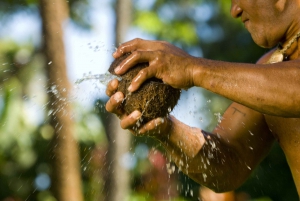 Oahu: Islands of Polynesia Tour & Live Cultural Performance