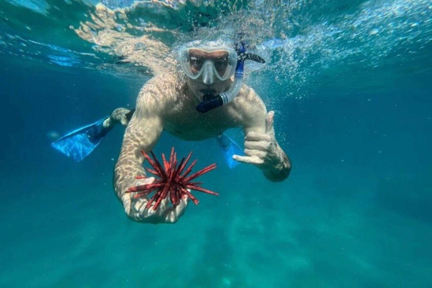 Avventura di snorkeling privata premium a Maui con tartarughe + picnic