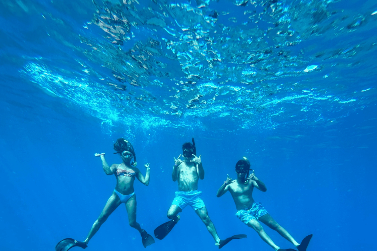 Prywatna przygoda z nurkowaniem z żółwiami na Maui + piknik