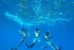 Prywatna przygoda z nurkowaniem z żółwiami na Maui + piknik