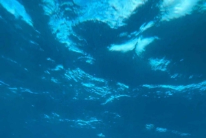 Prywatna przygoda z nurkowaniem z żółwiami na Maui + piknik