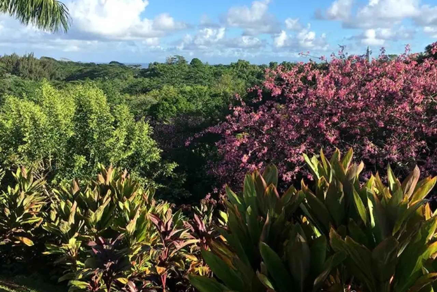 Princeville: Guidet tur til botanisk have og chokolade