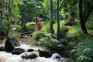 Princeville: Guidet tur til botanisk have og chokolade