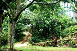 Princeville: Guidet tur til botanisk have og chokolade