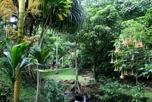 Princeville: Guidet tur til botanisk have og chokolade