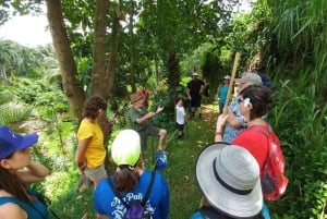 Princeville: Guidet tur til botanisk have og chokolade